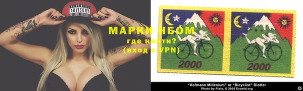 ешки Аркадак