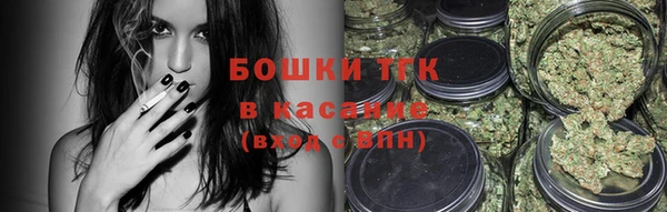 трава Арсеньев